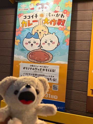 ファーファはココイチに来ました