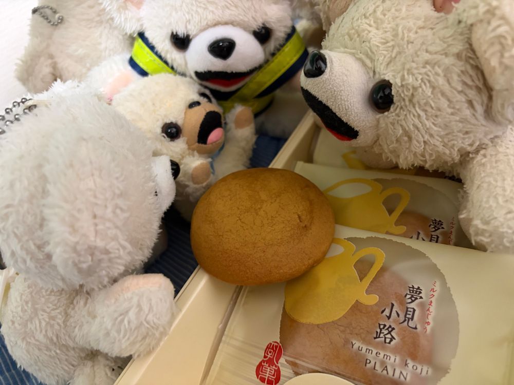 福岡の有名なお菓子の博多通りもん…をパクった大阪の月化粧…をパクった京都の夢見小路を食べるよ❗️
久々のスイーツ…最後の勝者だけが食べられるんだ…❗️❗️