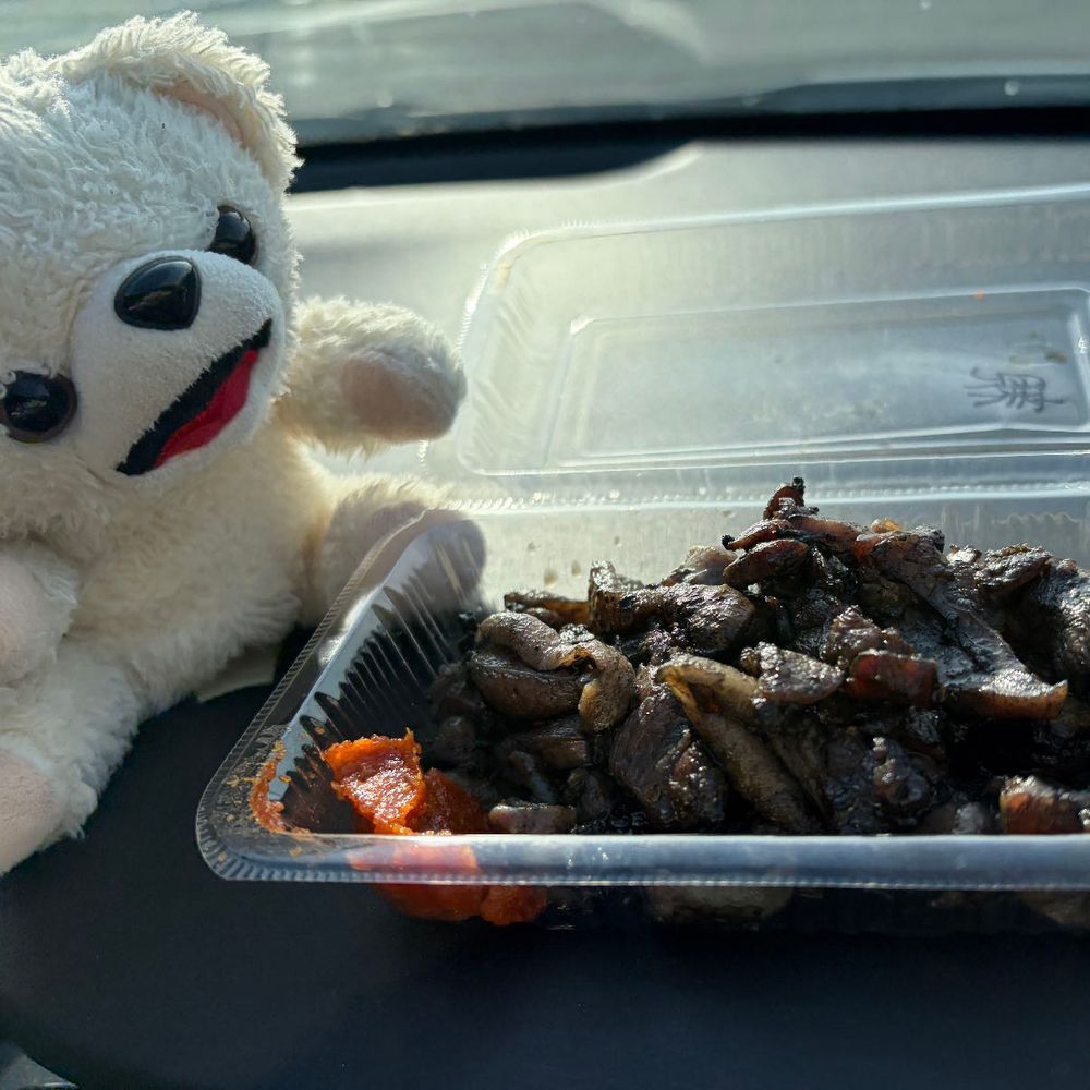 なんか空き地で炭火の焼き鳥作ってる人を発見したよ❗️
炭火のいい匂いがしたから、ついつい買っちゃったんだ〜❗️