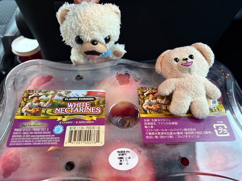 ぼくのおすすめはロティサリーチキンとネクタリン❗️🍑🍗