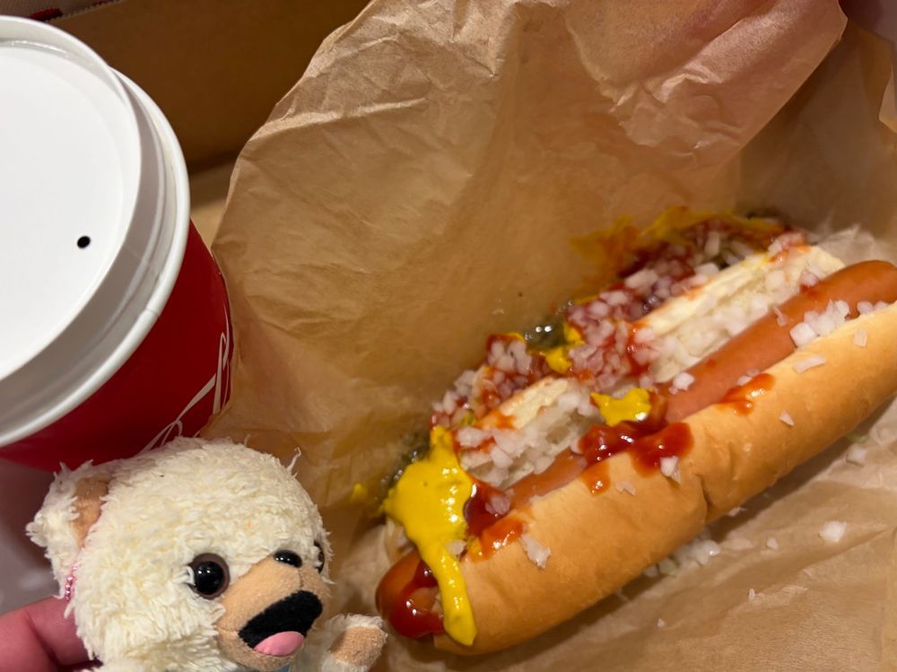 コストコ名物のホットドッグ❗️❗️
創業者が「ホットドッグを値上げしたら殺す」って言って、創業当時の180円のお値段のままなのは有名なエピソードなんだー🌭
コーラも飲み放題だー❗️