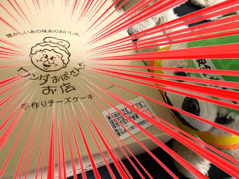 りくろーおじさんかと思ったら、ワンダおばさん、お前は誰だヨシ❗️❗️