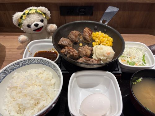 さて、今夜は吉野家の極旨牛鉄板ステーキ定食といきますか…