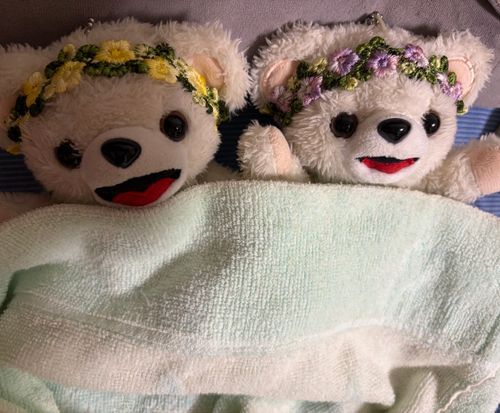 今日はまだ月曜日❗️
夜ふかしなんかせずに、冷房の効いたお部屋で眠るんだ…