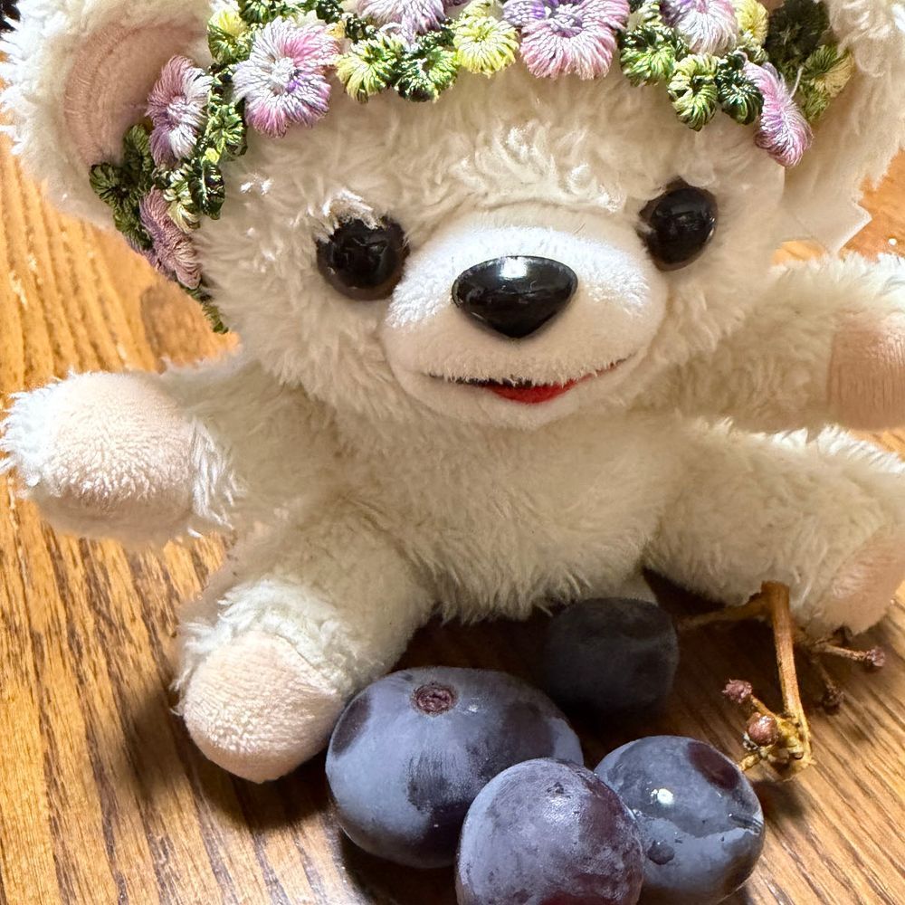 ぼく、鯛のごま茶漬けと、腐る直前のブドウを食べたよ…❗️❗️❗️

