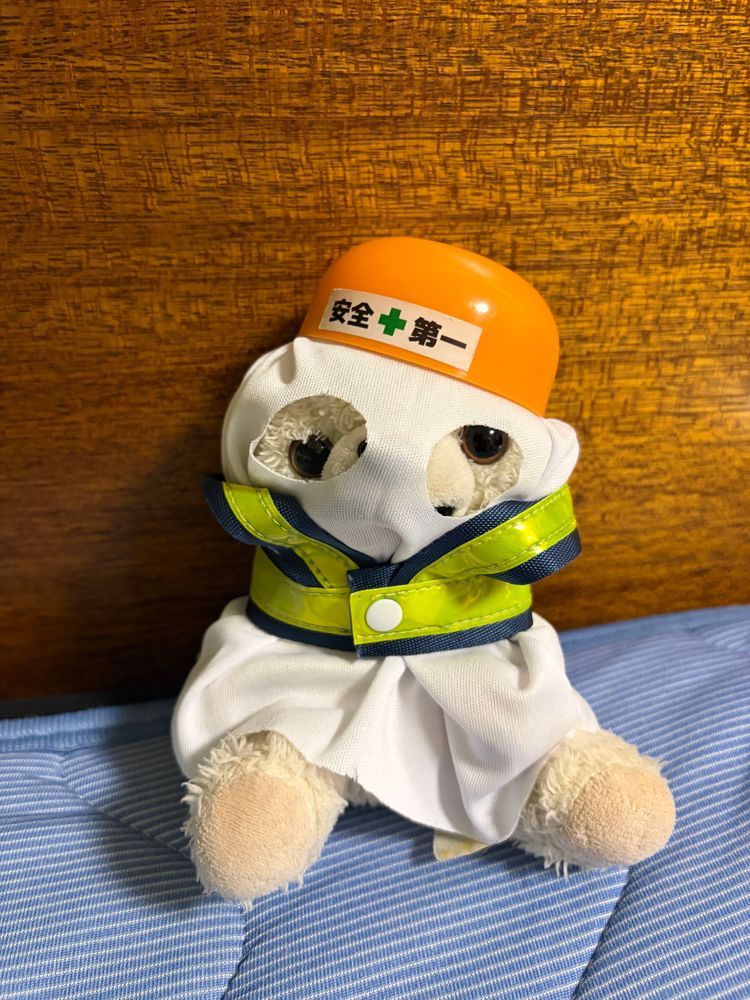 ハロウィンのおばけ布っていうのが売ってたヨシ❗️
着用したらきっとみんな怖くてびっくりヨシ‼️