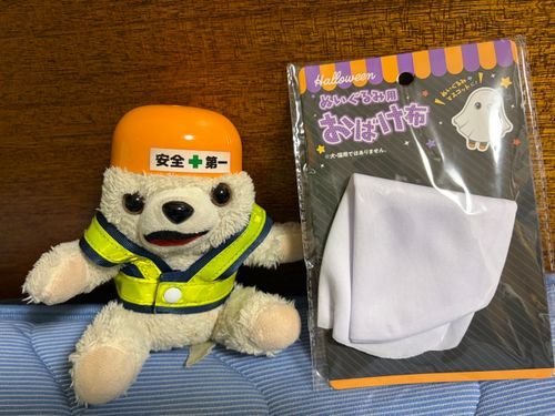 ハロウィンのおばけ布っていうのが売ってたヨシ❗️
着用したらきっとみんな怖くてびっくりヨシ‼️