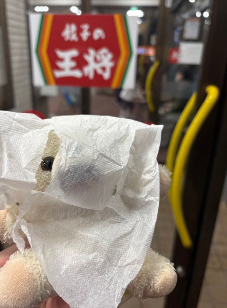 まだ8月なのにハロウィンの用のおばけ布が売ってたよ❗️
これでみんなをビックリさせるんだー❗️
昔のぼく(3・4枚目)とはクオリティが違うんだ〜❗️