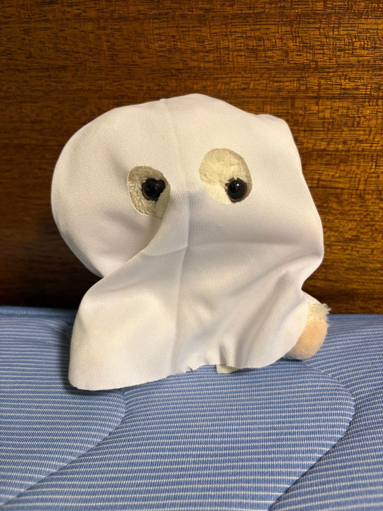 まだ8月なのにハロウィンの用のおばけ布が売ってたよ❗️
これでみんなをビックリさせるんだー❗️
昔のぼく(3・4枚目)とはクオリティが違うんだ〜❗️