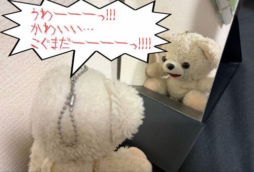 初めて鏡を見て驚いたファーファL