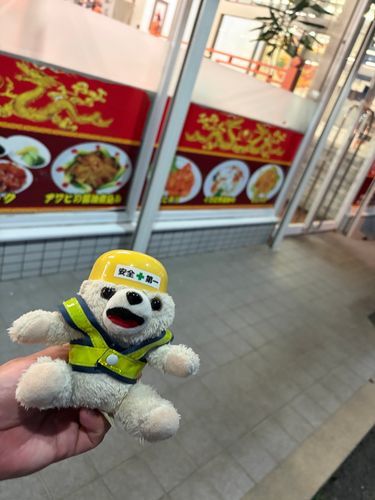 謎の中華料理店ヨシ❗️
定食ヨシ❗️
カイコの強火炒め…美味しそうで気になるけど、注文は次回に検討ヨシ❗️