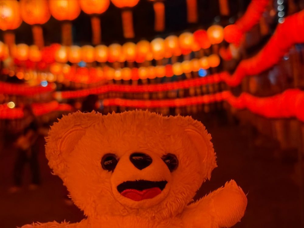 神社がライトアップしてたんだ…❗️⛩️
さあ、幻想的なぼくを見て…❗️