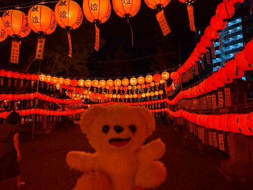 神社がライトアップしてたんだ…❗️⛩️
さあ、幻想的なぼくを見て…❗️