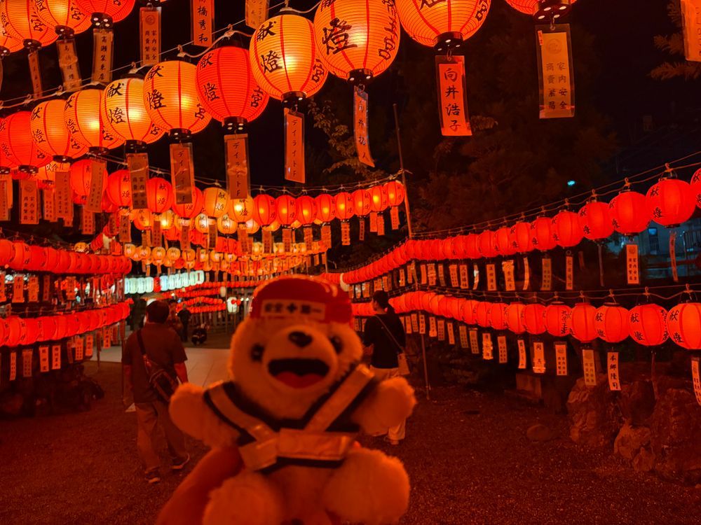神社がライトアップしてたんだ…❗️⛩️
さあ、幻想的なぼくを見て…❗️