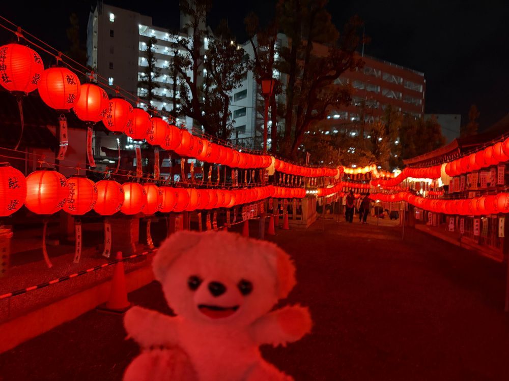 神社がライトアップしてたんだ…❗️⛩️
さあ、幻想的なぼくを見て…❗️