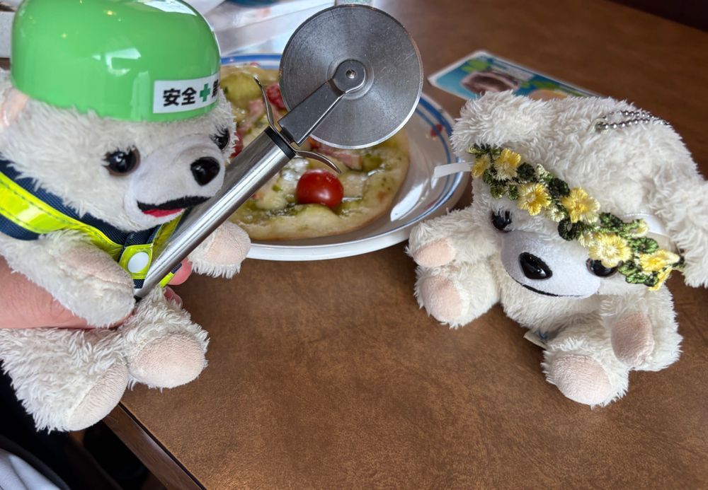 ピザを食べる時は…カッターで切られないように注意ヨシ❗️
やられたら…やり返す、ヨシ❗️
(やり返すのはヨクナシ)
