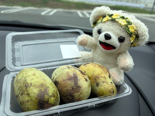 今年も謎の果物、ポポーが売ってたよ❗️