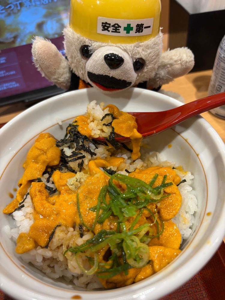 今年もなか卯のウニドーン食べたよ❗️
去年はウニのうどんも食べたような気がするけど、今年は普通のうどんなんだ…
ぼくの懐事情も関係あるのか…？

ミョウバン不使用だから、ミョウバンの味がしないんだーーーーー❗️❗️❗️
(実はよくわかってない)