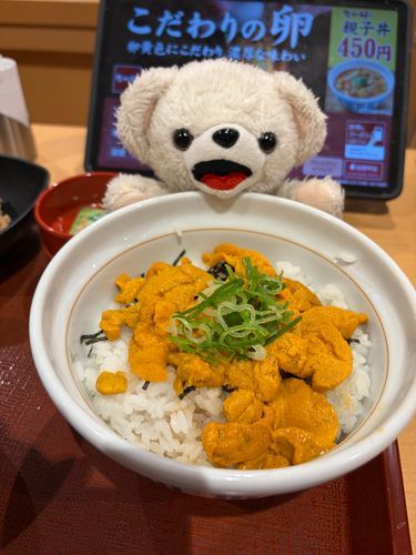 今年もなか卯のウニドーン食べたよ❗️
去年はウニのうどんも食べたような気がするけど、今年は普通のうどんなんだ…
ぼくの懐事情も関係あるのか…？

ミョウバン不使用だから、ミョウバンの味がしないんだーーーーー❗️❗️❗️
(実はよくわかってない)