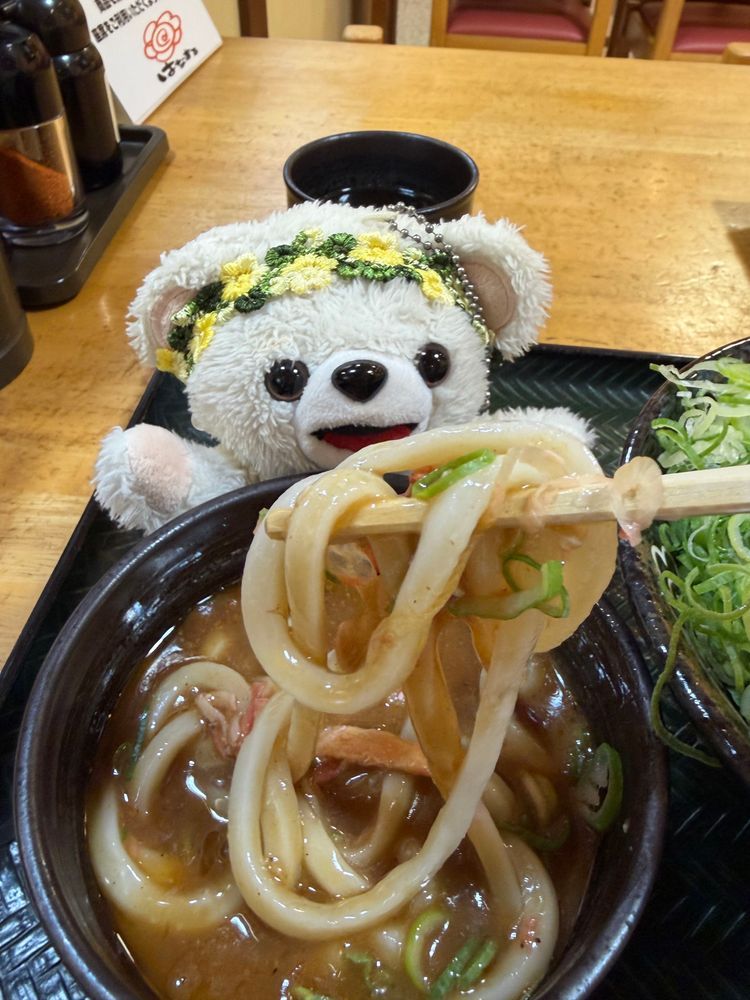みなさんこんばんは、ぼくファーファ❗️
今日はニンジンを煮こんだ料理を食べたよ❗️❗️