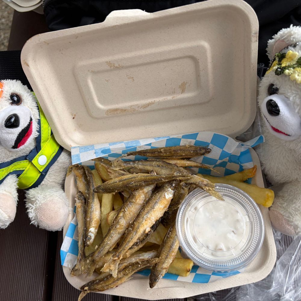 ホンモロコのフィッシュ&チップス食べたんだ❗️
🐟🍟
