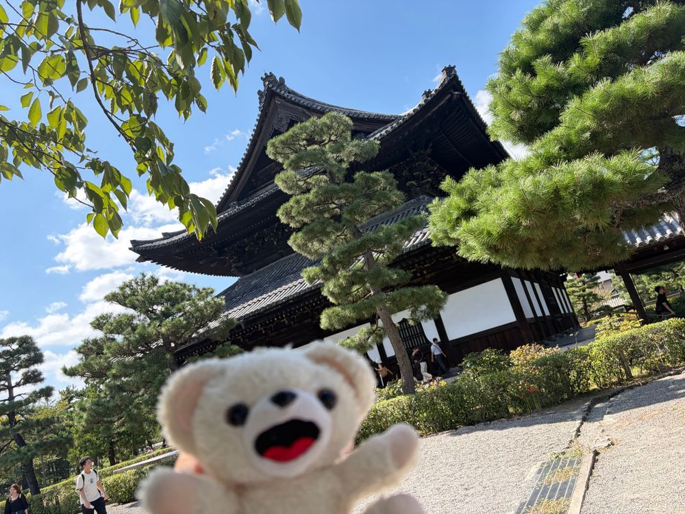 ここは次の聖地…建仁寺だーーー❗️❗️❗️
ここで幻魔の風神雷神兄弟の攻撃をぼくは華麗に避けて…こう一閃…で…❗️❗️
トドメを刺したんだーーー❗️❗️
(ゲームの話です)
なお有名な双龍図は混んでたから見ずに帰ってきたよー❗️