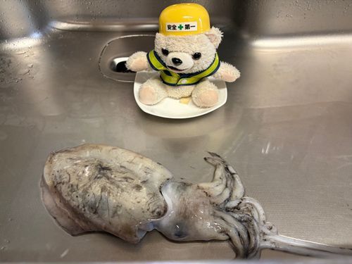 市場で買ってきたコウイカをスパゲッティにぶち込んだヨシ❗️
ハバネロ4個入れたらかなり辛かったヨクナシ❗️
