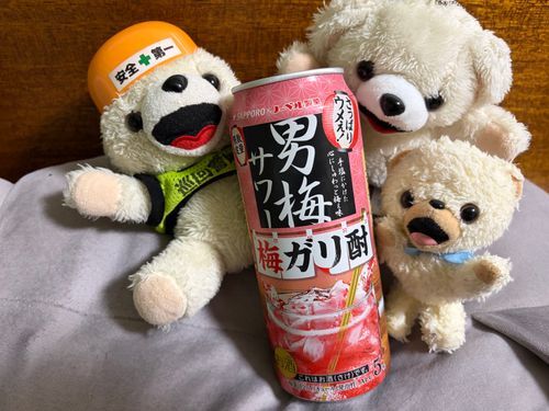 梅ガリ酎で、疲労回復ヨシ❗️