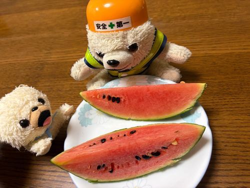 みなさんこんばんは、ぼくファーファδ
(左)❗️
ぼくがこの前庭で育ててたラストのスイカ(1番大きいやつ)だよ🍉
皮が薄くて甘くてすごく美味しかったんだ〜❗️
今年は諦めて放置してからの、まさかの3つも実ができちゃったから、来年は気合い入れて庭をスイカだらけにするんだ〜♪