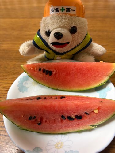 ぼくが巡回警備して育てた(本当か？)庭のスイカヨシ❗️
美味しいから来年も作ってみたいヨヨイのヨシ❗️
