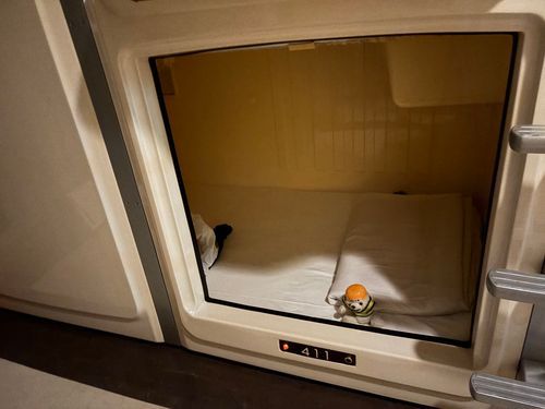ぼく、カプセルホテルデビューしたヨシ❗️
小さいスペースにテレビやラジオもあって…秘密基地みたいで楽しいヨシ〜❗️