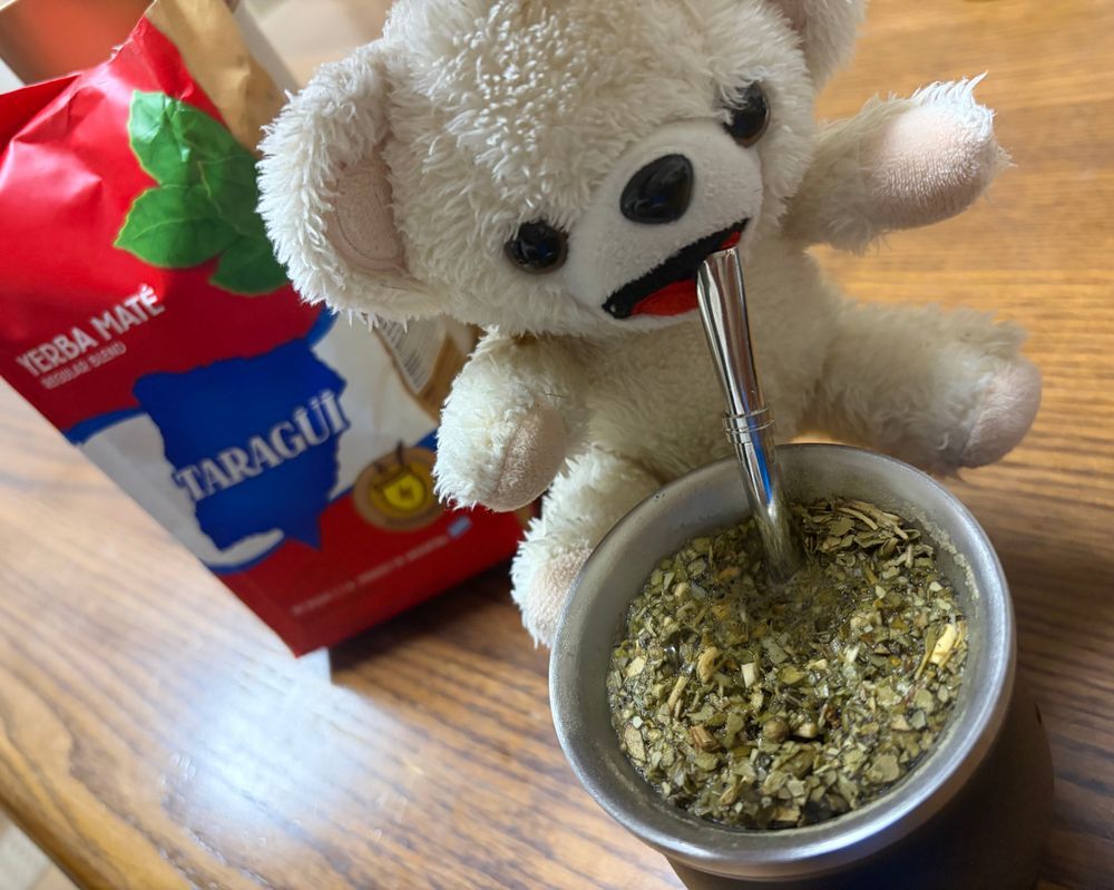 マテ茶🧉飲んだよ❗️
このツボにたくさん葉っぱを入れて、専用の穴あきストローで飲むんだ〜❗️
独特の苦味があるけど美味しいかも❓
気分はメッシなんだ〜🇦🇷