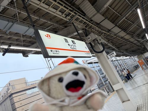 【速報】ファーファ、京都上陸