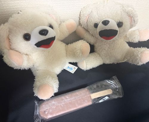 冷蔵庫にめちゃくちゃ安そうなあずきバーが入ってたから、二足歩行にはナイショでこっそり食べるんだ〜🫘
