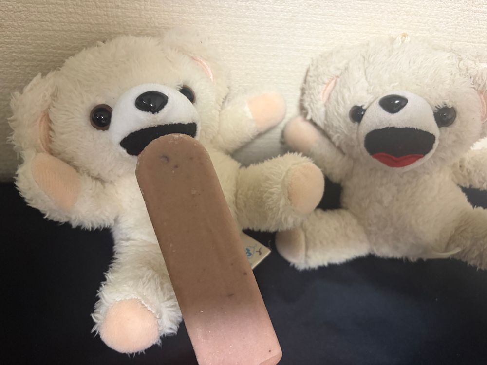 冷蔵庫にめちゃくちゃ安そうなあずきバーが入ってたから、二足歩行にはナイショでこっそり食べるんだ〜🫘