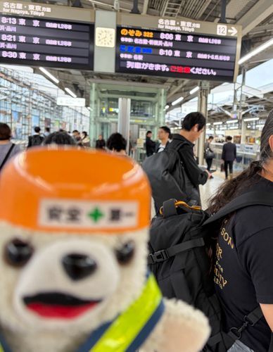 駅弁だー❗️❗️