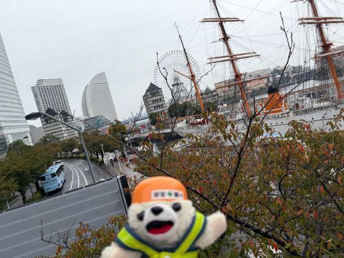 ここはモスラがゴジラをボコボコにしたところヨシ❗️