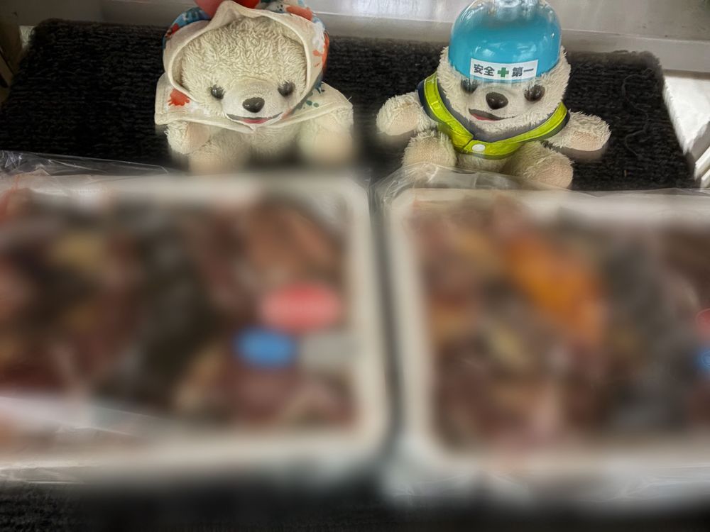 ふるさと納税の返礼品でなぜかすっぽんを選んじゃったヨシ❗️
これは楽しみ…ヨヨイのヨシ⁉️