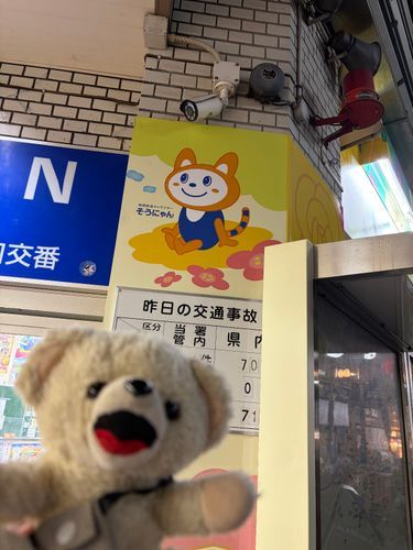 よ、横浜駅に…そうにゃんがいる…❗️❗️