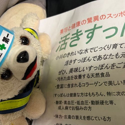 ふるさと納税の返礼品でなぜかすっぽんを選んじゃったヨシ❗️
これは楽しみ…ヨヨイのヨシ⁉️