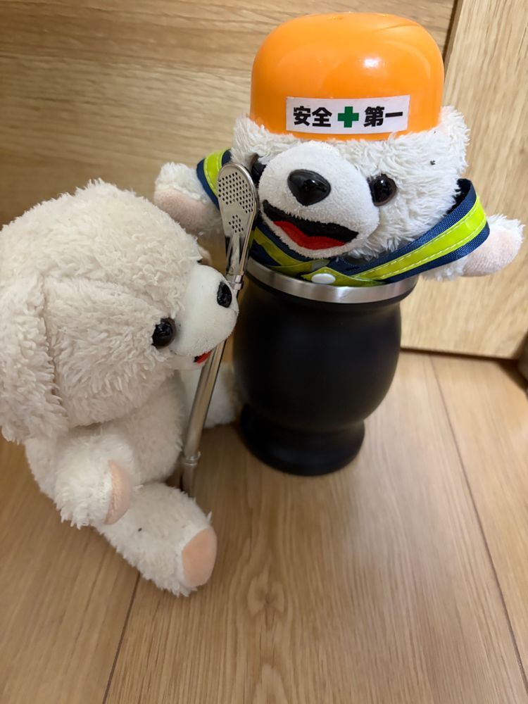 現ファのお給料でマテ茶体験セットを買ってもらったよ❗️
これはメッシがいつも飲んでるやつなんだ〜❗️
これさえ飲めばぼくも一流アスリートになれるかなあ〜❓