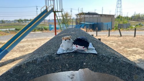 近所にある神社の土管