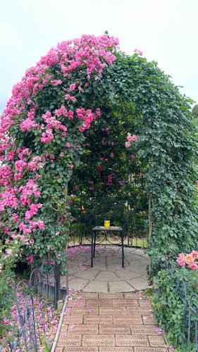 神代植物公園に行きました。