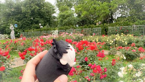 神代植物公園
シャボン玉を薔薇園に飛ばしてくれるイベントをやっていました！
風に乗ったシャボン玉を捉えて撮るのが難しかったです…。