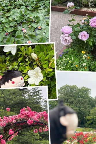 Googleのコラージュで出来ました。