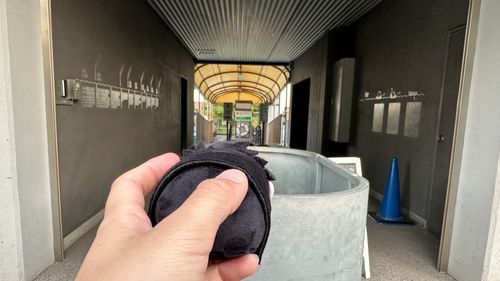 井の頭公園
今日はもうボートは終わりだって。