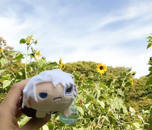 代々木公園の続き
ひまわり少し枯れかけていました🌻