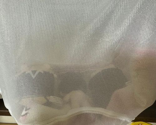 乾かし中2日目
だいたい乾きましたが、まだ内部に僅かながら水気を感じたので乾かし継続します。