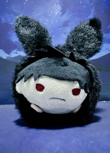 ちひろ「うさみみ付けてもカワイイチヒ」
今週のジャンプの表紙を見てセリアで買いました