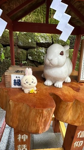 二荒山神社
因幡の白兎と撮りました。